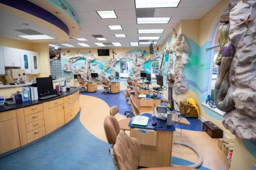 palm-beach-office-2023-7410